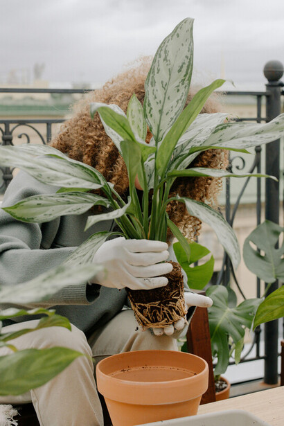 La búsqueda de conexión suele estar mediada por el deseo de control, seguridad y confort