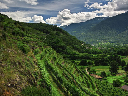 Un paesaggio della Valtellina