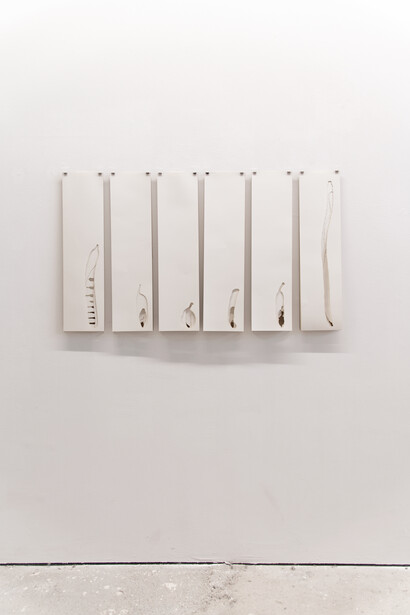 The collection of Mr. X, the man who lived 500 years. Courtesy of Alberta Pane Gallery