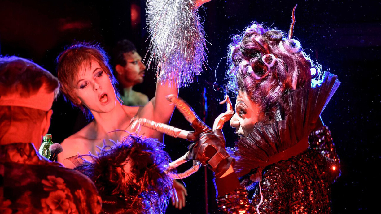 Ugly duckling. Mit freundlicher genehmigung des Deutschen Theaters