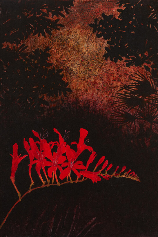 Victoria Crowe, August Night with Crocosmia,  oil on board, 25 x 36 cm