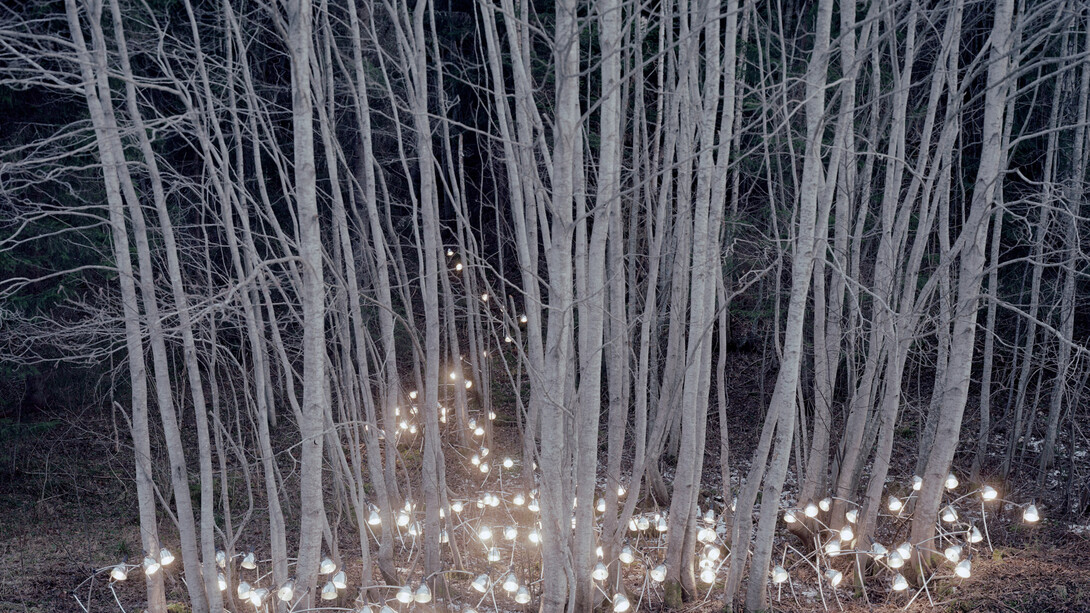 Rune Guneriussen, Quality of present interaction, 49 x 70 in. 