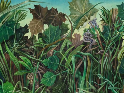 From the exhibition Max Ernst and Nature as an Invention