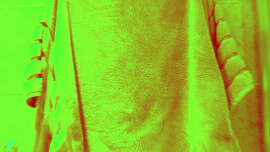 Matt Welch,Untitled, Film still, 2014, Courtesy of Vitrine