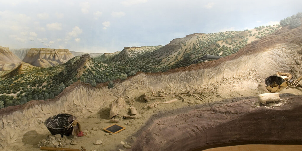 The dinosaurs rooms and courtyard. Courtesy of Museo di Storia Naturale