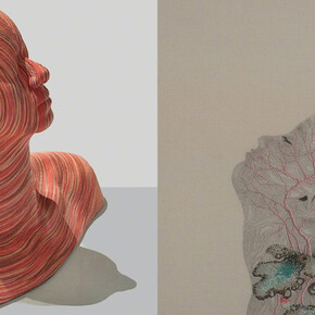 Reflections. Courtesy of Puerta Roja