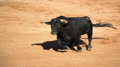 Raging Bull