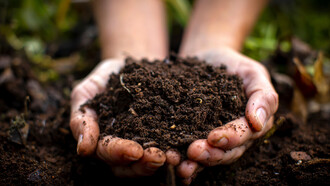 El derecho al desarrollo