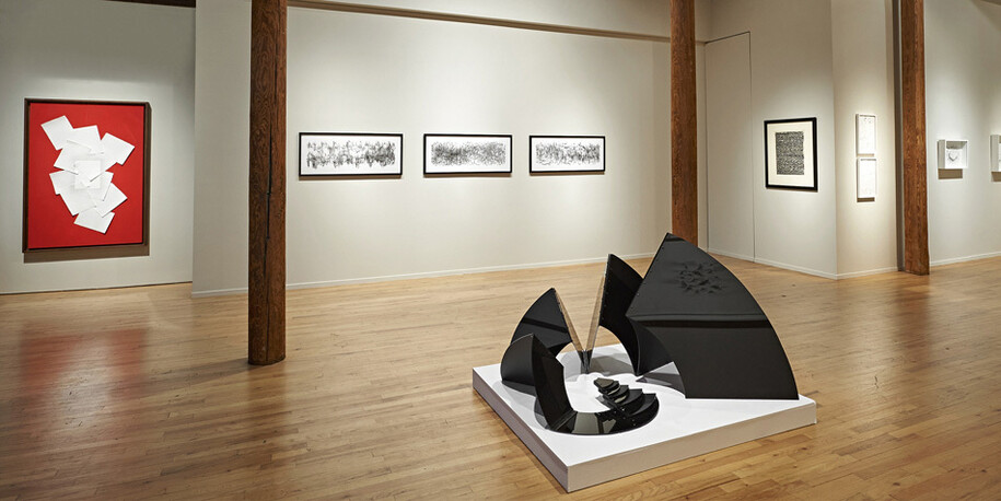 Expanding the Line: Drawing, Video, and Sculpture. Courtesy of Cecilia de Torres, Ltd.