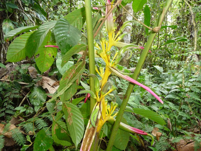 Energia, forza e luce - Ph Simonetta Sandri