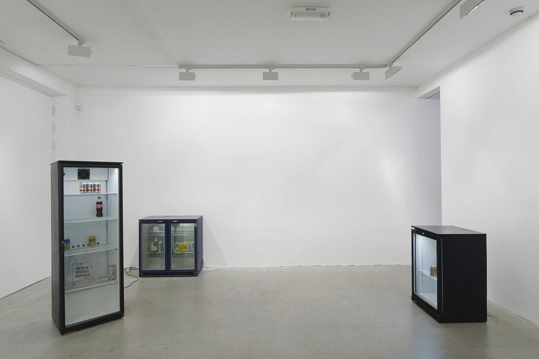 Gili Tal, Vilma Gold, 2015, installation view, courtesy Vilma Gold, London