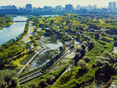 A urbanização intensiva compromete a infiltração de água e aumenta as enchentes; explore soluções como cidades esponjas para um desenvolvimento mais sustentável. Zonas húmidas em socalcos em Haikou, uma das duas principais cidades de Hainan, China. Projeto de: Turenscape