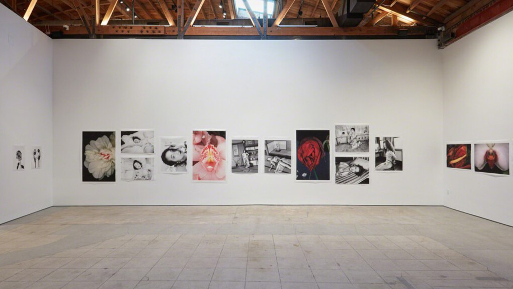 Hana Jinsei. Courtesy of Over the Influence 