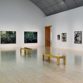 Pao Houa Her, The imaginative landscape, exhibition view. Courtesy of San José Museum of Art