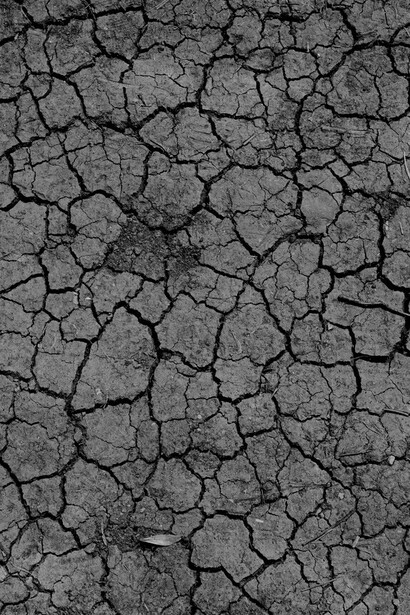 El cambio climático está convirtiendo las tierras fértiles en áridas