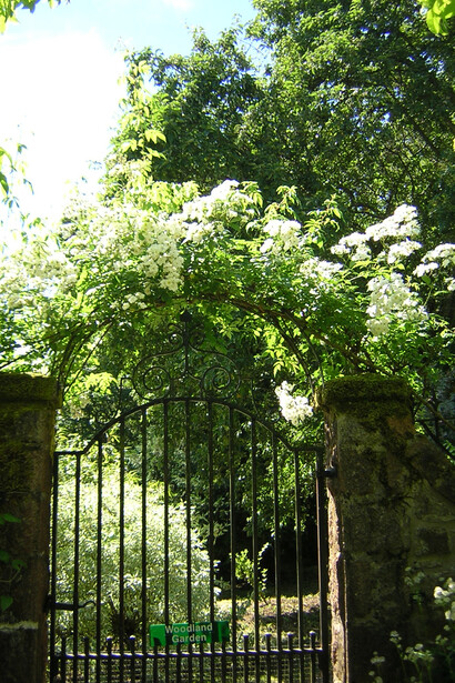 Giardino del Castello di Crathes, Scozia - Entrata alla serra - Foto di Simonetta Sandri
