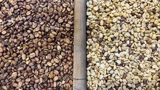 Sun-dried Arabica beans shine in their natural form, showcasing the dedication of local farmers and roasters