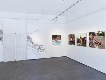 Anna Fabricius, Tigris, exhibition view. Courtesy of Tobe Gallery