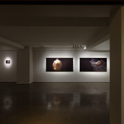 Arisa Kumagai, Heaven stolen, exhibition view. Courtesy of Gallery Koyanagi