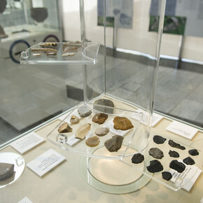 Prehistoric Galway. Courtesy of Galway City Museum Ireland