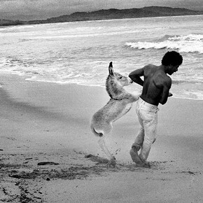 Africamericanos. Courtesy of Museo Amparo