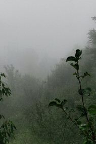 The eerie silence of the Himalayas has, for a long time, been luring writers, poets, and artists
