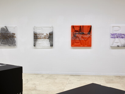 Thomas Locher. Courtesy of Galeria Helga de Alvear