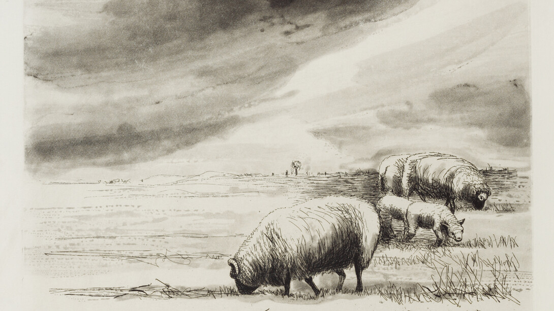 Henry Moore, Sheep in Landscape