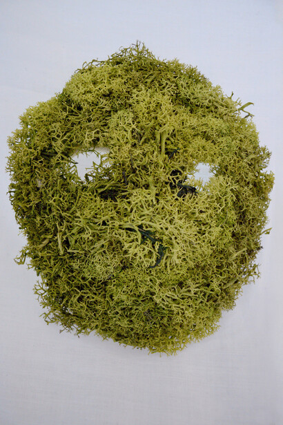 Isobel Blank. Courtesy of Gilda Contemporary Art 