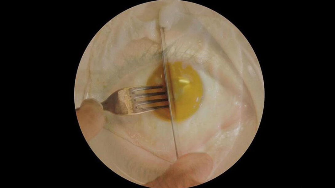 Roee Rosen, « The Dust Channel » (extrait), 2016. Courtesy of Centre Pompidou