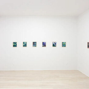 An Hoang, Garden poems, exhibition view. Courtesy of Halsey McKay Gallery