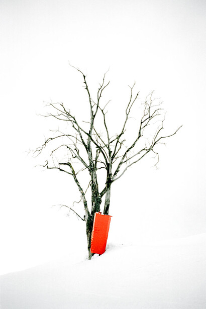 Caroline Gavazzi. Courtesy of The Place