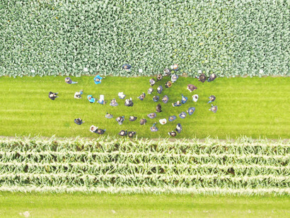 Lo scopo fondamentale è sviluppare le potenzialità delle piante al servizio della vita
