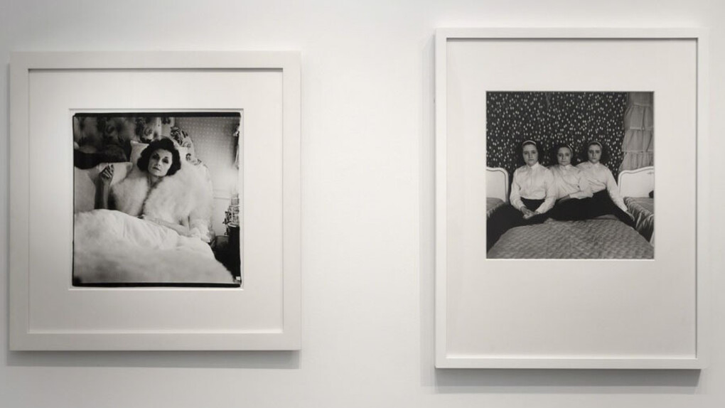 We are the subject. Courtesy of Bruce Silverstein Gallery 