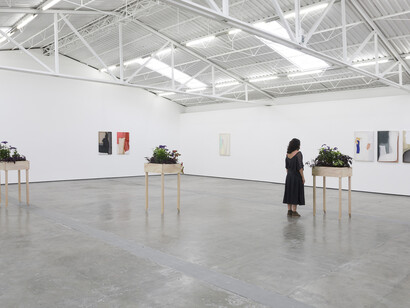 Anna Virnich. Courtesy of Proyectos Monclova
