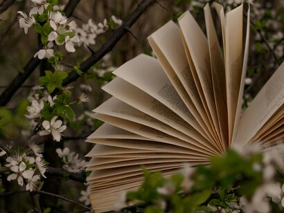 I libri aiutano a comprendere meglio se stessi e gli altri