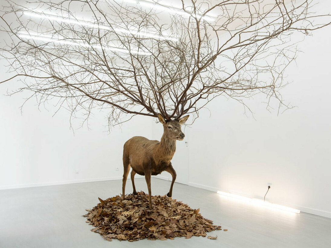 Amphibology. Courtesy of Galerie Paris-Beijing