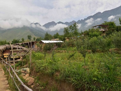 Sagg ecovillage farm, Kashmir, with fresh, organic produce - will the Budget encourage such local community enterprise © Ashish Kothari