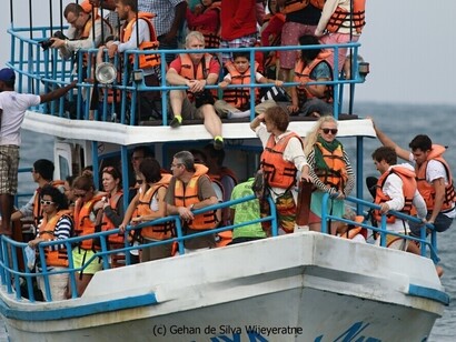 Watching Blue Whales in Mirissa © Gehan de Silva Wijeyeratne