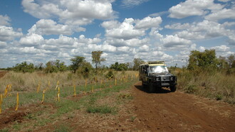 Jeep in Kenya, Africa. Noi siamo rimasti ammutoliti dentro la nostra jeep con gli occhi lucidi e qualche lacrima sul parka