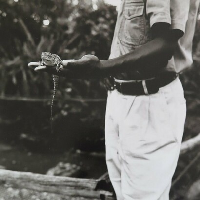 Silvia Lareo, Vazquez Croc Monsieur, 1998. Courtesy of the artist and Robin Rice Gallery