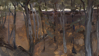 Jan Ciągliński (1858–1912). "Bosque – Finlandia". 1903, Museo Nacional de Varsovia, Polonia