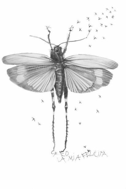 Mariella Busi De Logu,  art work