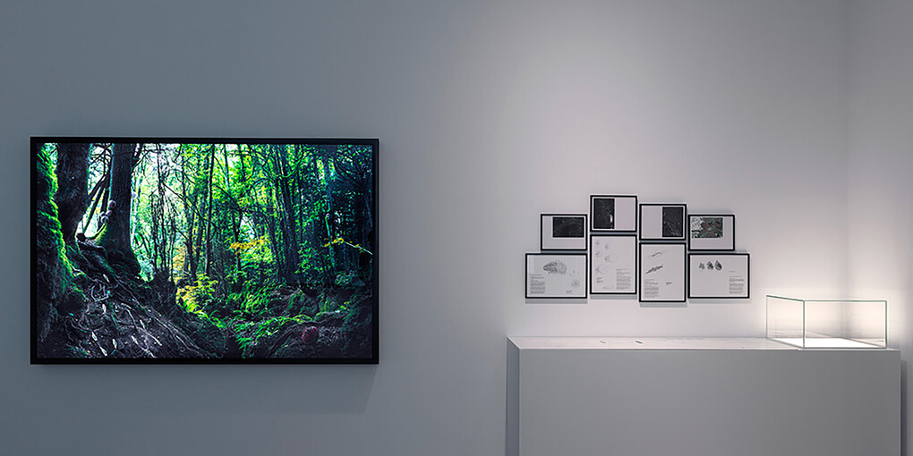 Clouds ⇄ Forests. Courtesy of Tretyakov Gallery