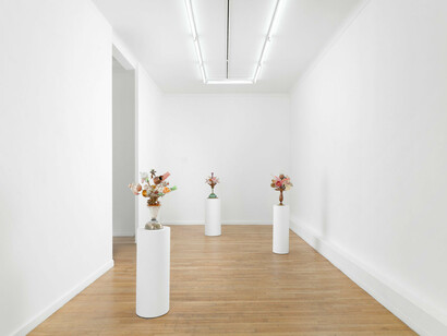 Stephané Edith Conradie, Ontwortel, exhibition view. Courtesy of Ceysson and Bénétière