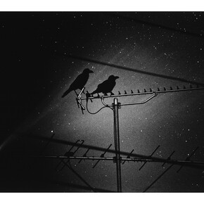 Kikuji Kawada, Die Ganze Stadt, Zeno & Kiki, 1995 © Kikuji Kawada. Courtesy Michael Hoppen Gallery