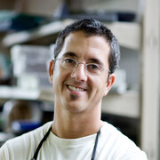 Alex Gabriel Bernstein