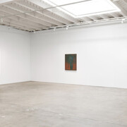 Shota Nakamura, Apple, exhibition view. Courtesy of Karma Gallery