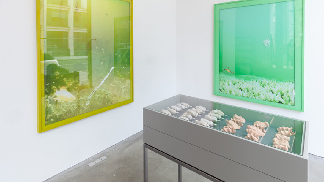 Michael Müller, Exhibition view. Courtesy of Galerie Thomas Schulte