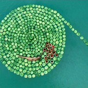 Sigalit Landau (b. 1969), DeadSee, 2005, Still from video, Courtesy the artist
